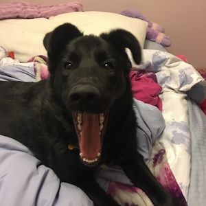 Meet your Posher, Alyssa